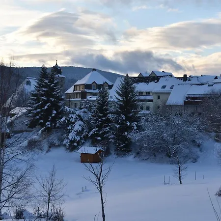 Wiesengrund 게스트하우스 3*